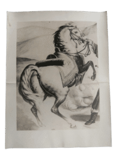 Horse Old Photo