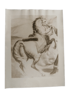 Horse Old Photo